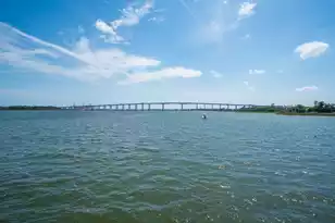 401 Wayfaring Point, Daniel Island, SC 29492 - Photo 54
