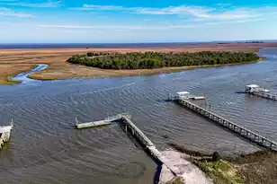 708 Donnelly Corner Dr, Awendaw, SC 29429 - Photo 2
