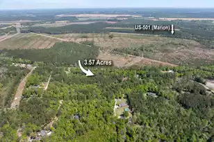 0 Forest Pl, Marion, SC 29571 - Photo 1