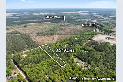 0 Forest Place, Marion, SC 29571 - Photo 4