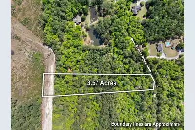 0 Forest Place, Marion, SC 29571 - Photo 6