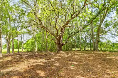 2571 Bryans Dairy Road, Johns Island, SC 29455 - Photo 6