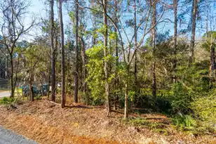 3162 Vanessa Lynne Ln, Johns Island, SC 29455 - Photo 58