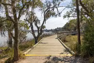 301 Longshore St, Charleston, SC 29492 - Photo 54