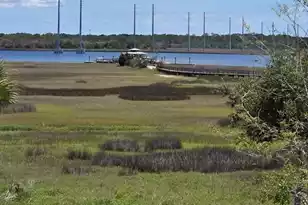 2318 Dorado Ct, Johns Island, SC 29455 - Photo 66