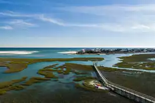 83 Grackle, Pawleys Island, SC 29585 - Photo 8