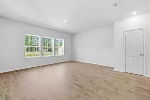 216 Twinleaf Ct, Charleston, SC 29414 - Photo 12