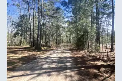 0 Santee Lumber Road, Santee, SC 29142 - Photo 8