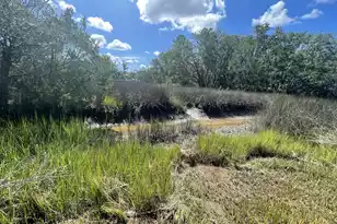 15014 Bennetts Point Rd, Green Pond, SC 29446 - Photo 24