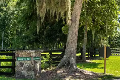 4229 Cobble Trot Way, Johns Island, SC 29455 - Photo 6