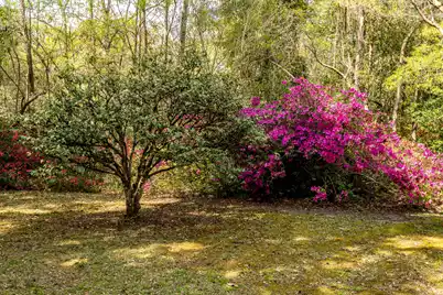 517 Carolina Avenue W, Summerville, SC 29483 - Photo 90