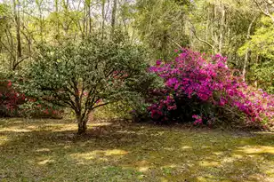 517 Carolina Ave W, Summerville, SC 29483 - Photo 90