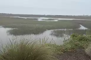 916 Hillsboro Dr, Charleston, SC 29407 - Photo 64