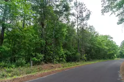 00 Deneaux Road, Rowesville, SC 29133 - Photo 6