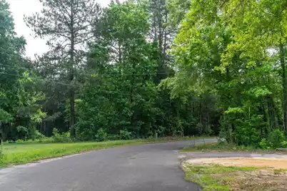 00 Deneaux Road, Rowesville, SC 29133 - Photo 6