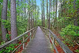 3438 Attley St, Mount Pleasant, SC 29466 - Photo 72