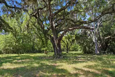7817 Little Britton Road #Lot C-1-A, Meggett, SC 29449 - Photo 4