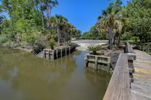 3379 Shagbark Cir, Mount Pleasant, SC 29466 - Photo 62