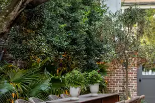 101 Tradd St, Charleston, SC 29401 - Photo 62