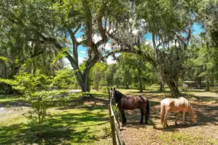 5068 Sweetgrass Farm Rd, Johns Island, SC 29455 - Photo 10