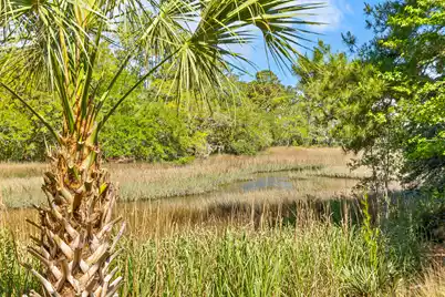 113 Historic Drive, Mount Pleasant, SC 29464 - Photo 6