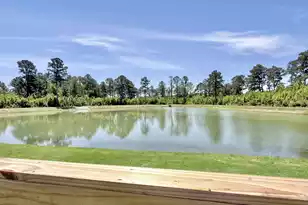 468 White Magnolia St, Moncks Corner, SC 29461 - Photo 64