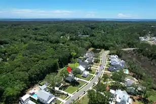 3853 Delinger Dr, Mount Pleasant, SC 29466 - Photo 12