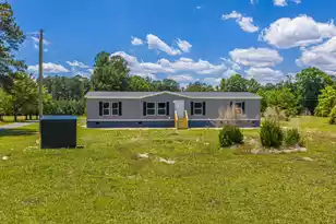 167 Davis Terrace, Saint George, SC 29477 - Photo 62
