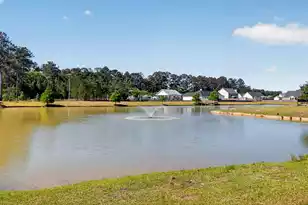 1012 Bridlewood Farms Pkwy, Ridgeville, SC 29472 - Photo 50