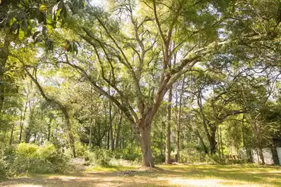 141 Mount Carmel Road, Walterboro, SC 29488 - Photo 16