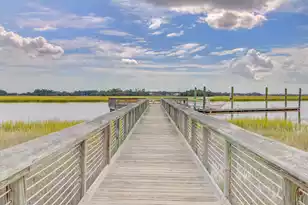 547 Little Barley Ln, Charleston, SC 29492 - Photo 44
