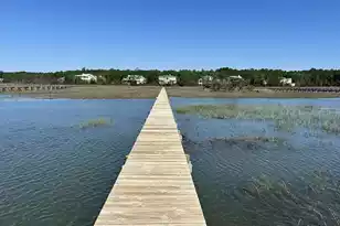 547 Little Barley Ln, Charleston, SC 29492 - Photo 2