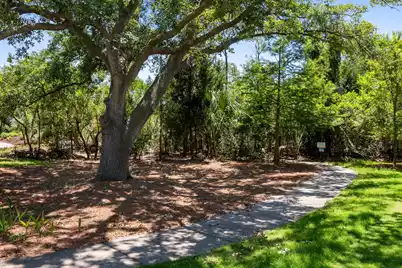 1525 Mossy Branch Way, Mount Pleasant, SC 29464 - Photo 24