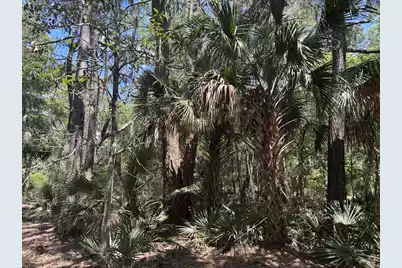 2044 Shell Island, Johns Island, SC 29455 - Photo 10