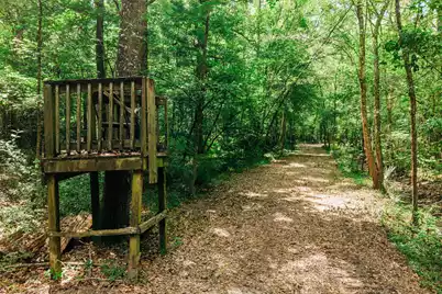 1 Parnel Road, Cope, SC 29038 - Photo 12