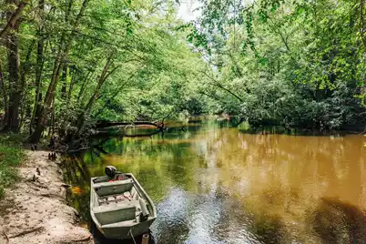 1 Parnel Road, Cope, SC 29038 - Photo 8