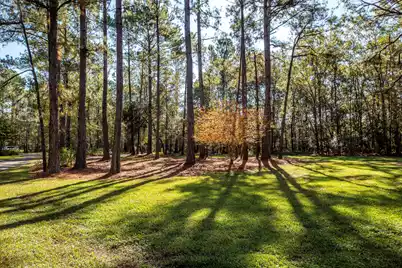 5950 Lowell Reed Road, Ravenel, SC 29470 - Photo 108