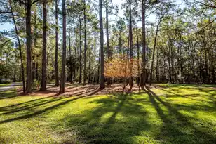 5950 Lowell Reed Rd, Ravenel, SC 29470 - Photo 108
