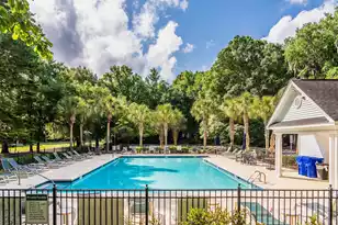 224 Sugar Magnolia Way, Charleston, SC 29414 - Photo 62