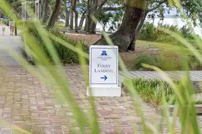 6026 Grand Council Street, Daniel Island, SC 29492 - Photo 40