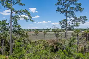 2316 Bucktail Ct, Mount Pleasant, SC 29466 - Photo 58