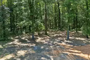 1131 Hickory Dr, Summerton, SC 29148 - Photo 76