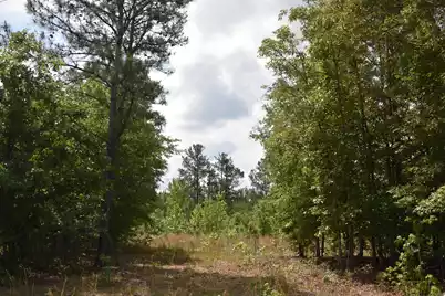 Tbd Hawthorne Drive, Kingstree, SC 29556 - Photo 1