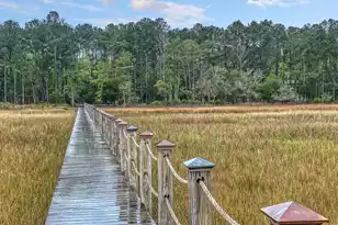 1527 John Fenwick Ln, Johns Island, SC 29455 - Photo 92