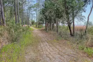 1527 John Fenwick Ln, Johns Island, SC 29455 - Photo 92