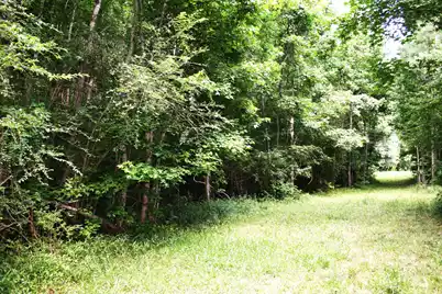 0 Kitfield Road, Moncks Corner, SC 29461 - Photo 2