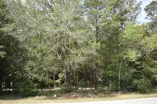 Tbd Sumter Hwy, Kingstree, SC 29556 - Photo 1