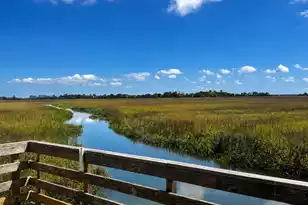 1509 Inland Ave, Charleston, SC 29412 - Photo 30