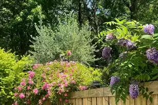 2008 Fleming Woods Rd, Charleston, SC 29412 - Photo 50