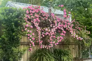 2008 Fleming Woods Rd, Charleston, SC 29412 - Photo 52